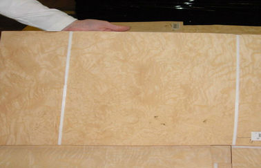طبیعی سفید خاکستر روکش چوب برش برش ضخامت 0.5mm برای پوشش های داخلی