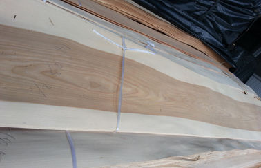 پانل های سقفی صاف Birchwood را از چوب روکش تاج کات صلیب دانه