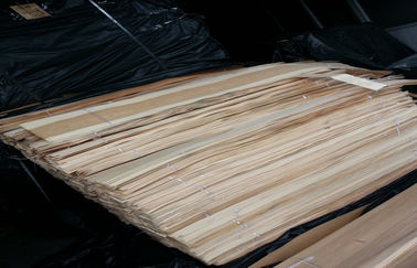 پانل های سقفی صاف Birchwood را از چوب روکش تاج کات صلیب دانه