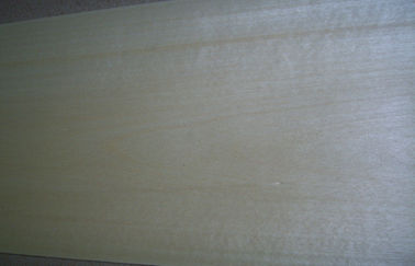 ضخامت 0.5mm ورقه چوب روکش شده، طبیعی سفید توس روکش برای مبلمان