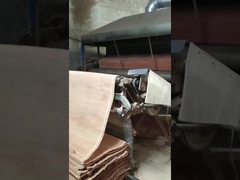 ورق روکش چرخشی PLB چوب طبیعی