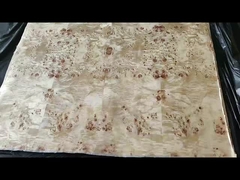 فرنیر پوپلر بورل درجه A