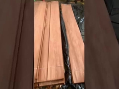 فنیر کُرونی Sapelli