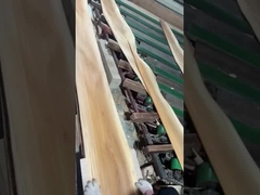 برش تاج فلش المی