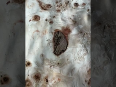 مپپا برل فنیر