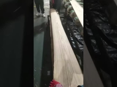 فنیر برش تاج بلوط سفید