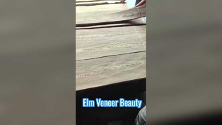 روکش Elm Crown برش خورده