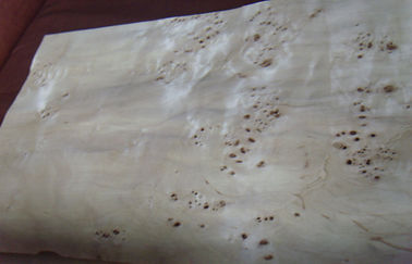 تخت Burled روکش چوب ورقه برش، ساخت خاکستر معرق کاری چوب روکش شده