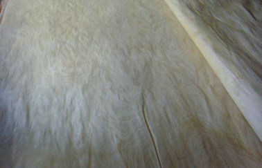سفید / قهوه ای توس روتاری برش چوب چوب روکش شده، دوخته شده از چوب روکش افرا