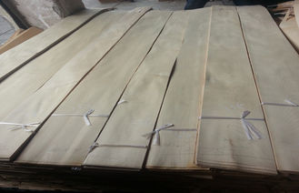 AA درجه سفید / سفید توس روکش چوب روتاری برش ساختمانی