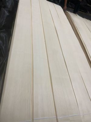 Natural American White Ash Sustainably Sourced and Readily for Your Sustainable Production Solutions