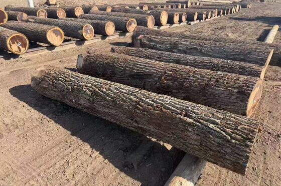 ورق های روکش بلوط با طرح دانه تاج به ضخامت 0.2-0.6 میلی متر و عرض حداکثر 1220 میلی متر برای مبلمان و دکوراسیون