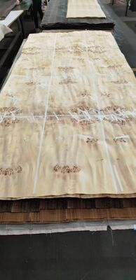 Natural Wood Mappa Burl Veneer Sheet with Sliced Cut and 12-15% Moisture for Furniture Decoration