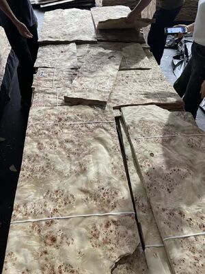 0.5mm ضخامت برش برش Mappa Burl چوب ورق ورق برای دکوراسیون هتل