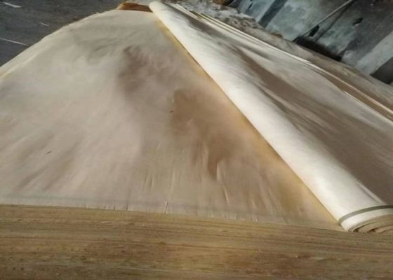 ورق روکش چوبی توس سفید یک درجه درجه 0.18 میلی متر 0.22 میلی متر